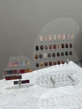 ジーナネイル 浦安(Zina nail)/マグネットカラーチャート