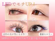ベルエール(Belle Aile)