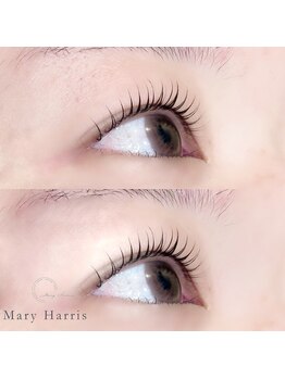 メアリーハリス 姪浜(Mary Harris)/まつ毛パーマ