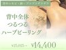 【背中全体ニキビ・跡・ブツブツケア】ボディハーブピーリング/25025→
