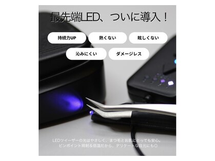 ビアンカ(Bianca)の写真