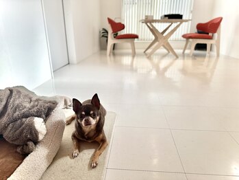 撫の樹/名古屋にお引越しして1年☆