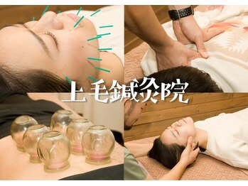 上毛鍼灸院