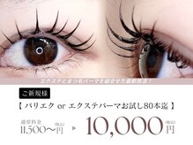 パティオアイラッシュ(Patio eyelash)