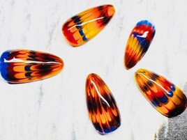 ブラウンピーコック