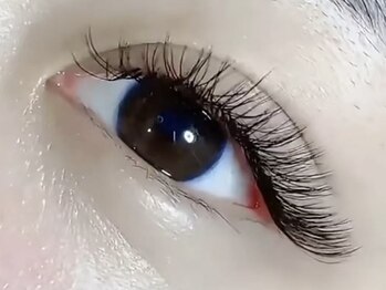 ケイズ 八王子(Ks)/Wフラットラッシュ