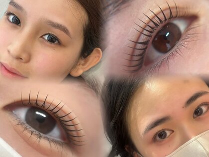 マドンナリリー(Madonna Lily)の写真