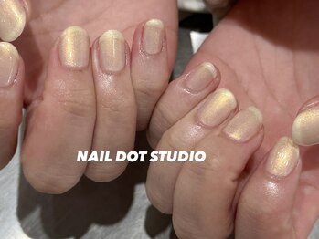 ネイルドットスタジオ 堺筋本町(NAIL DOT STUDIO)/偏光パール