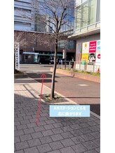 HBS-WA整体/～道案内6～