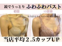 ラヴィス(Ravis)