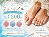フットネイルモニター募集中★３３００円/ワンカラー/マグネット/フラッシュ