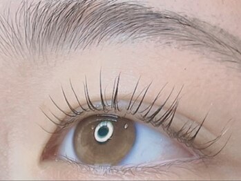 リノン(Linon)の写真/今話題のまつげパーマをお試し価格で体感できます☆上品でナチュラルぱっちりな目元に♪メイクの時短にも◎