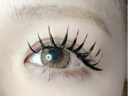 アミー(amie)の写真