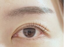 カルムトウキョウ 恵比寿本店(CALM TOKYO)/TRまつ毛パーマ[恵比寿/代官山]