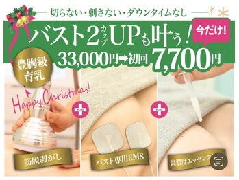 美人バスト アンド ヒップアップ 広島店