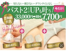 美人バスト アンド ヒップアップ 広島店