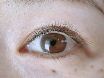 シェノン(Chainon)/ボリュームラッシュ80束