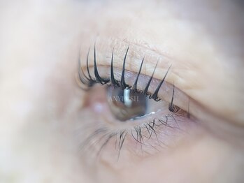 エニーラッシュ(ANYLASH)/根元立ち上げ！