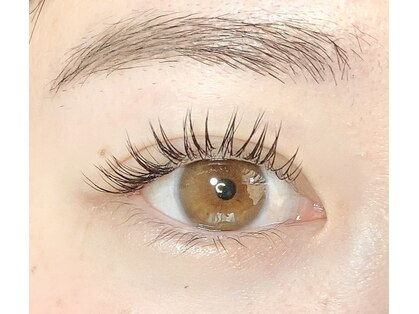 アルコリック(Alcolic)の写真