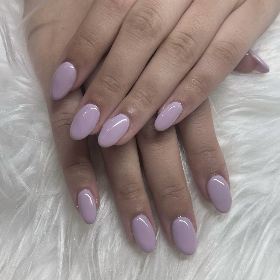 ワンカラー \6600