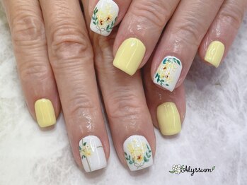 アリッサム(Alyssum)/アートコース