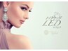 《LEDマツエク》フラットラッシュ100本 ¥6500