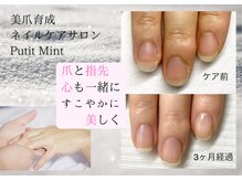 プティットミント(Putit Mint)