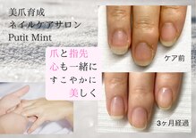 プティットミント(Putit Mint)