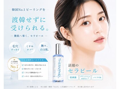 ポリー(Polly)の写真