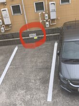 アリシア(ALICIA)/