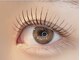 アガールラッシュボーテ(agirl lash beaut'e)の写真
