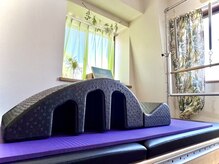 リプレス(RE_place)/【スパインコレクター(アーク)】