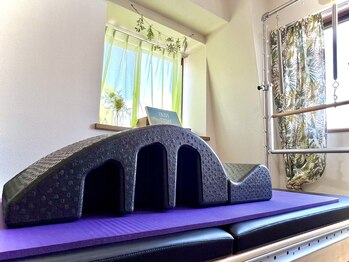 リプレス(RE_place)/【スパインコレクター(アーク)】