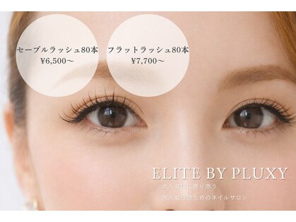 エリートバイプラクシーの写真