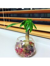 オズ六本木/萩原式小顔矯正オズ六本木