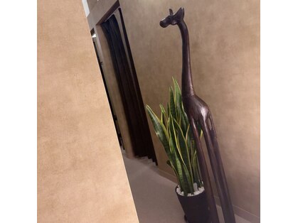 アジエスタ 五反田店(ASIESTA)の写真