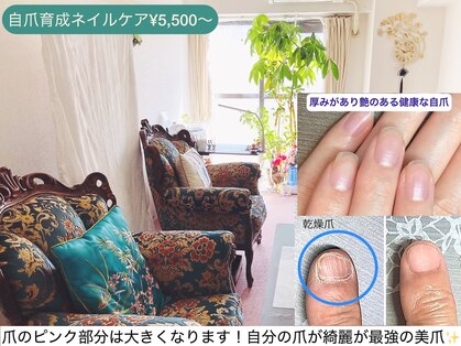 桃の木 吉祥寺店の写真