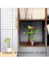 池袋ハート整体院/観葉植物☆