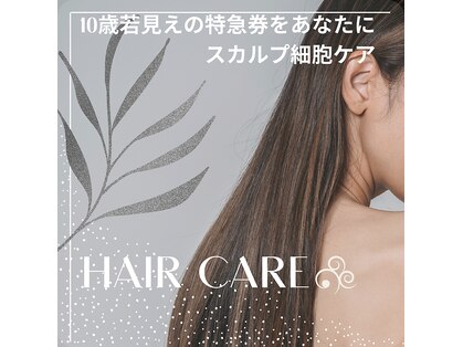 ビードット(B.)の写真