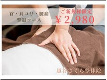 越谷さくら整体院