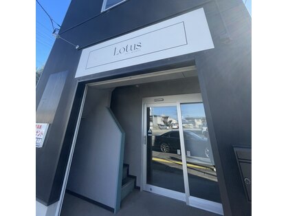 ロータス(Lotus)の写真