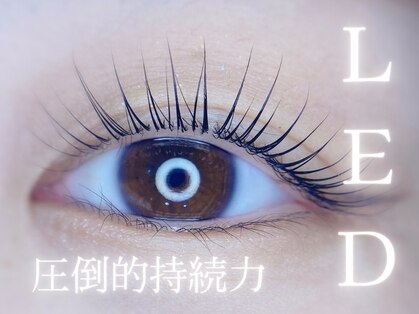 メゾンドエム(maison de M)の写真