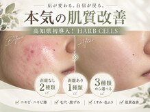 サロンアン(Salon an)