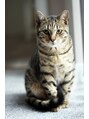 ベノワ(benoit) 猫の可愛さに目覚めました☆動物が好き(笑)