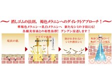 サロンドベル(salon de Belle)/プラズマ/毛穴/透明感/くすみ