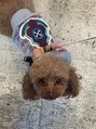 アンフルール 新宿店(Une fleur) 最近は一緒にお出かけすることが増えました♪愛犬のモフです!