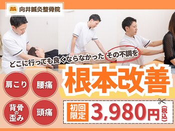 向井鍼灸整骨院