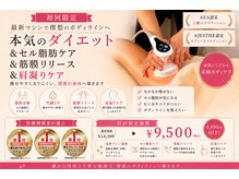 フェリシテ(FELICITE)