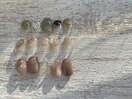 月替わりチップデザイン