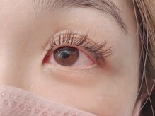 キャメル(camel)/【バインド＋ブラウン】140束